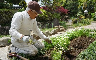 What are the Activities of Daily Living (ADLs)?