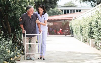 What are the support and schemes available for the elderly and caregivers?